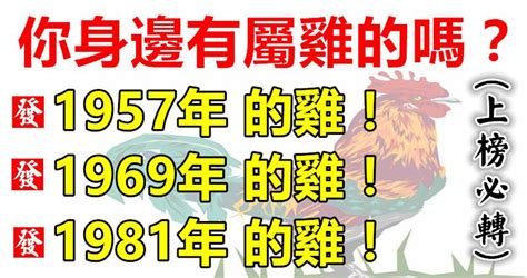 81年次生肖五行|【1981屬】1981屬雞帶你一秒看懂！五行缺什麼、運勢解讀一次。